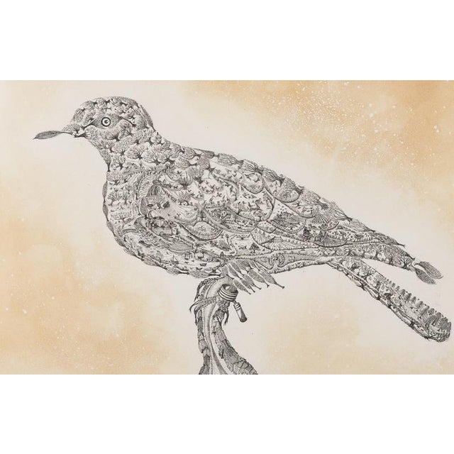Modern Maria Paletta, Carrier Pigeon, Etching For Sale - Image 3 of 6
