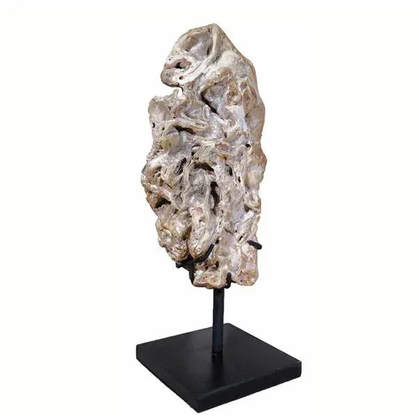 Organic Modern Fossil Scholar Stone For Sale In Greensboro - Image 6 of 8
