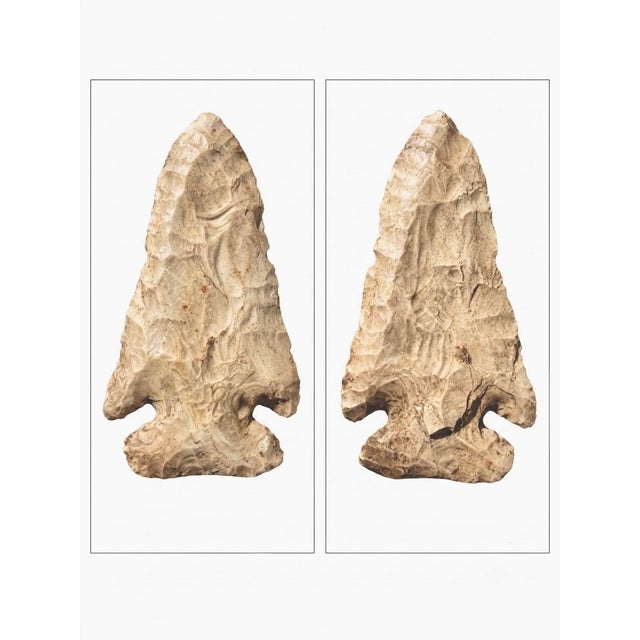 Tribal Fine Archaic Paleo-Indian Thebes Point – Northern Illinois For Sale - Image 3 of 3