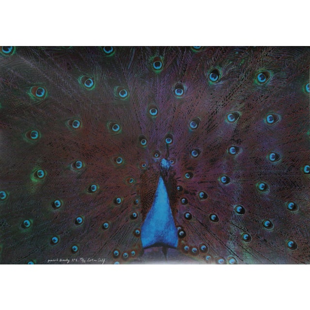 Colin Self "Power & Beauty No. 6" Serigraph For Sale