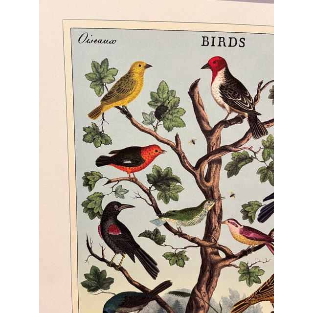 Birds (Oiseaux) Poster For Sale In New York - Image 6 of 6
