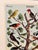 Birds (Oiseaux) Poster For Sale In New York - Image 6 of 6