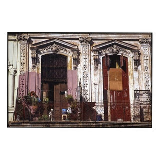Paul Cooklin, Dog on Balcony, Havana, Cuba, Edition of 50 For Sale