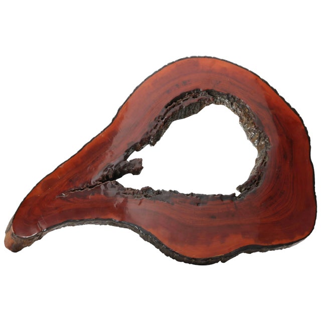 Cypress Tree Biomorphic Form Wall Mirror For Sale
