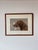 Mid-Century Modern 70's Vintage F. Worden "Ch. Edmonton Newt" Dog Portrait Painting, Framed For Sale - Image 3 of 12
