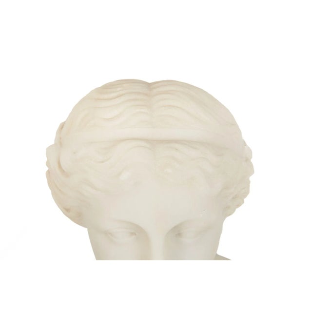 Italian Grand Tour Carved Alabaster Bust of Venus of Milo, 20th Century For Sale - Image 18 of 18