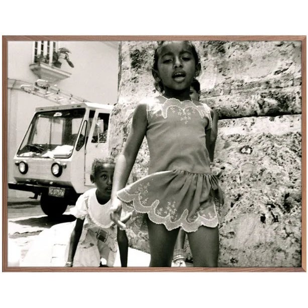 Follow The Leader Art Print - Framed For Sale