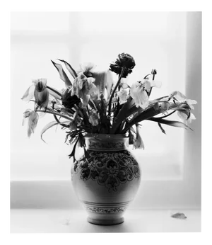 Dead Flowers, Black and White Analogue Floral Photography, Limited Edition of 20 2023