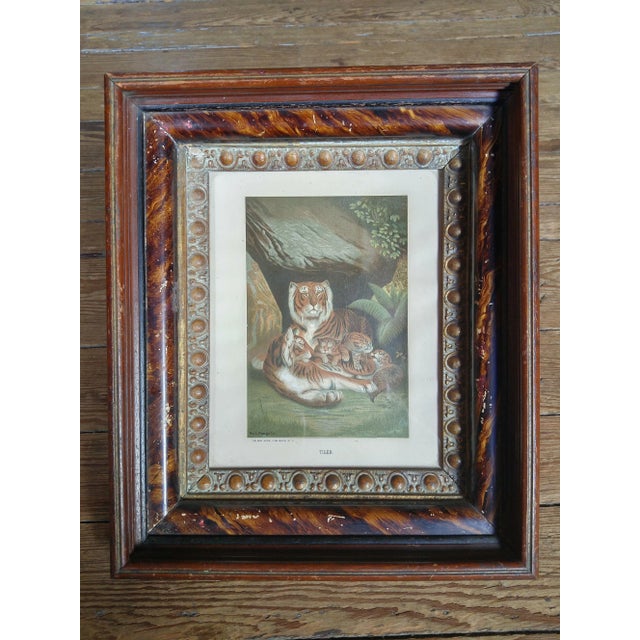 Late 19th Century Antique Louis Prang Tigress + Cubs Victorian Framed Aquatint Print For Sale In Baltimore - Image 6 of 6
