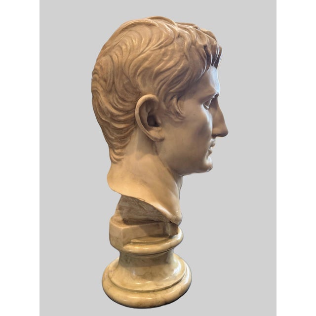 Neoclassical Roman Emperor Bust – Faux Marble Resin Sculpture – 20” For Sale In Los Angeles - Image 6 of 9