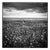 Paul Cooklin, Rapeseed, Happisburgh I, Norfolk, Edition of 50 For Sale