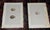 Realism Antique 19th Century Hand Colored Egg Lithographs - Set of 12 For Sale - Image 3 of 9