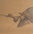 Modern Art, Max Marra pencil drawing Fisherman of Fish and Furs This piece has an attribution mark, I am sure that it is...