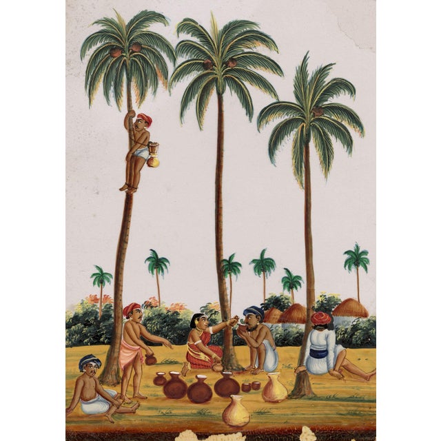 Indian Company School, Toddy Drawing, 1800s, Gouache on Paper For Sale - Image 9 of 9