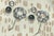 Metal Mid 20th Century Sterling Flower Salt & Pepper Shakers For Sale - Image 7 of 12