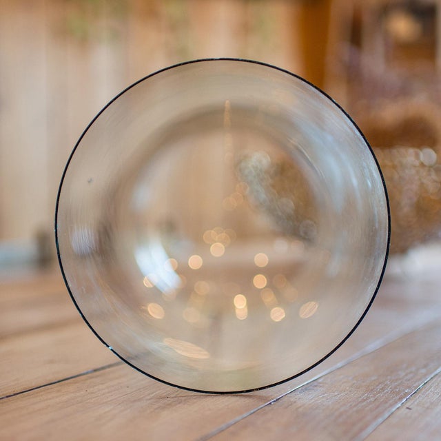 Wood 1900 Antique Taxidermy Specimen Dome For Sale - Image 7 of 10