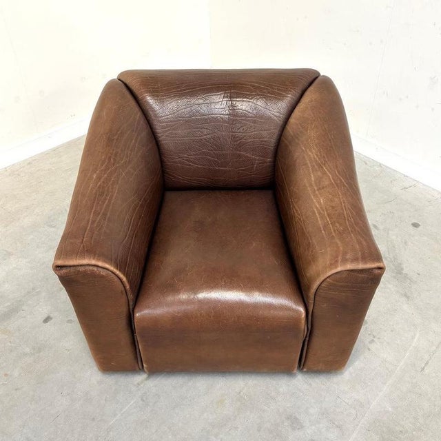 Animal Skin DS47 Lounge Chair from de Sede, Switzerland, 1970s For Sale - Image 7 of 13