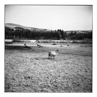 Paul Cooklin, the Peak District Print, Edition of 10 For Sale