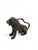 Charming 19th-century bronze sculpture depicting a seated lion, one of the most enduring symbols of strength, vigilance,...