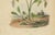 Black E. Guérin, Butterfly with Caterpillars, 1835, Engraving, Set of 2 For Sale - Image 8 of 11
