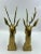 Contemporary Mid 20th Century Hollywood Regency Style Brass Stag Bust Bookends - a Pair For Sale - Image 3 of 13