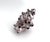 Natural Barnacles Cluster For Sale - Image 4 of 7