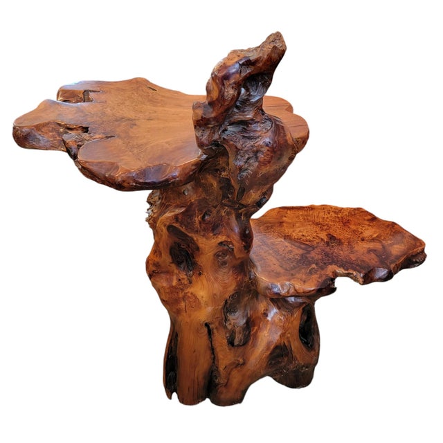 1970s Freeform Root Wood Slab Pedestal Stand | Chairish
