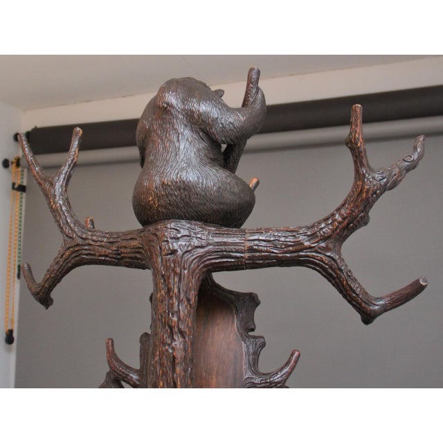 Brown 19th Century Black Forest Bear Hall Stand, 1880s For Sale - Image 8 of 18