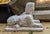 Pair of Early 20th Century Sphinx Garden Statues For Sale - Image 4 of 5