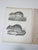 Pair of mid 19th century lithograph on paper of various types of rat and small fuzzy mammals book plate. Published by the...
