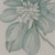 Gray Margot Weemaes 1981 Pittosporum Tobira Botanical Portfolio Print For Sale - Image 8 of 12