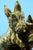 Carmelo Ganci, Scottish Terrier Dog Sculpture, Ceramic For Sale - Image 17 of 18