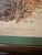 Vintage Sporting Bird Print, Framed For Sale - Image 4 of 7