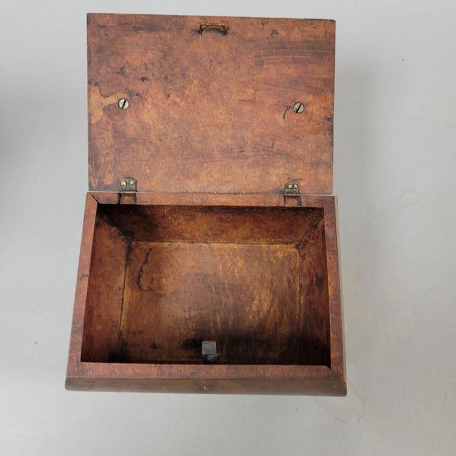Brown Antique Burl Walnut Box Tea Caddy With Rabbit For Sale - Image 8 of 9