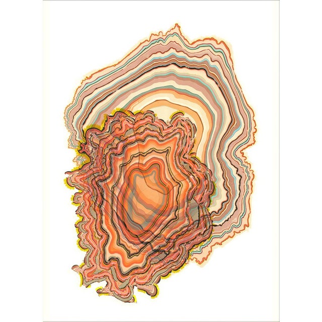 Beige Pernille Snedker, Double Woodrings #03, Giclée Print For Sale - Image 8 of 8