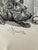 1940s 1940s Original Signed Graphite Illustration of Girl Walking Scottie Dog and Frog, 11 × 8 In. For Sale - Image 5 of 6