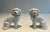 Figurative Pair of Staffordshire porcelain Cavalier King Charles Spaniel dog figurines For Sale - Image 3 of 12