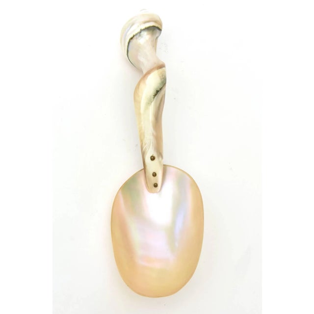Vintage Organic Mother-of-Pearl Sculptural Serving Spoon For Sale In Miami - Image 6 of 11