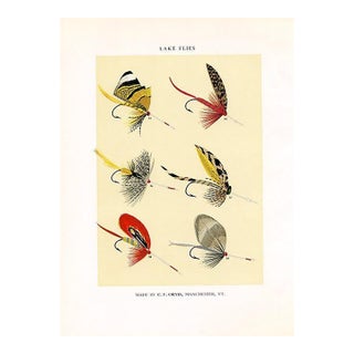Vintage Lake Fishing Flies Print by Charles Orvis, Original Vintage Fishing Print, Lithograph For Sale
