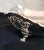Antique Sterling Silver Fruit Bowl from Atkin Brothers, Sheffield, 1923 For Sale - Image 11 of 18