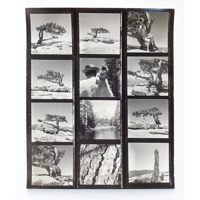 Vintage California Yosemite Contact Sheet Photographs For Sale In Seattle - Image 6 of 6