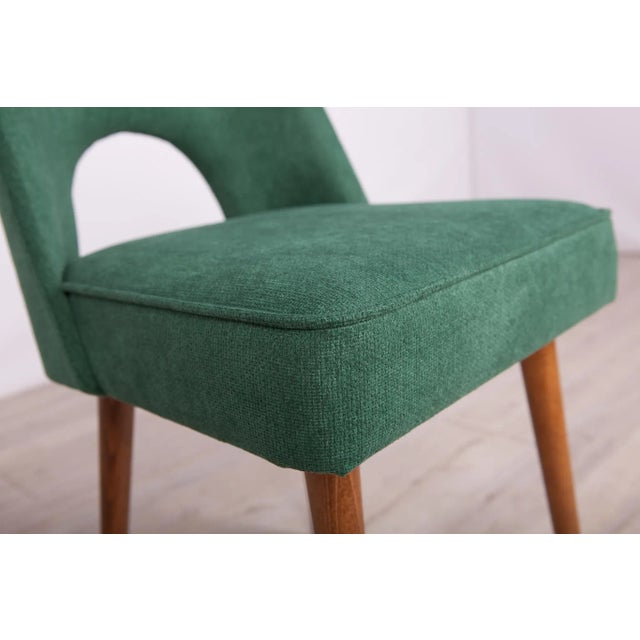 Polish Shell Chairs from Bydgoszcz Furniture Factory, 1960s, Set of 6 For Sale - Image 11 of 14