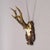 Black Forest Red Deer Trophy on Carved Plaque, Germany 1930s Item e8310 An antique red deer (Cervus elaphus) trophy with...
