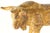 Beige Early 20th C. Earthenware Pottery Bull Figurine Coin Bank, Mexico For Sale - Image 8 of 18