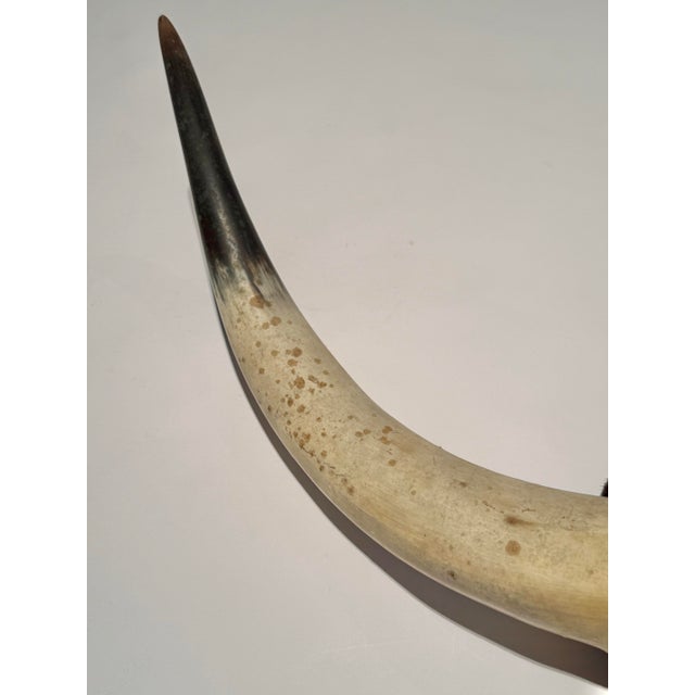 Mid 20th Century Rustic Vintage Large Hide-Wrapped Steer Horns For Sale - Image 5 of 11