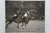 Trowbridge Black & White Polo Players Equestrian Horse Photograph Print Burl 25" For Sale - Image 4 of 10