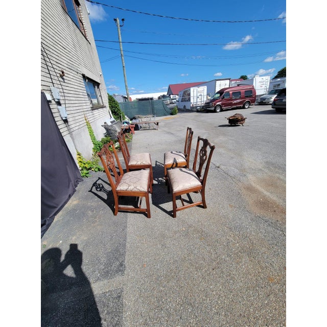 Set of 4 Early 20th Century English Dining Room Chairs For Sale - Image 14 of 16