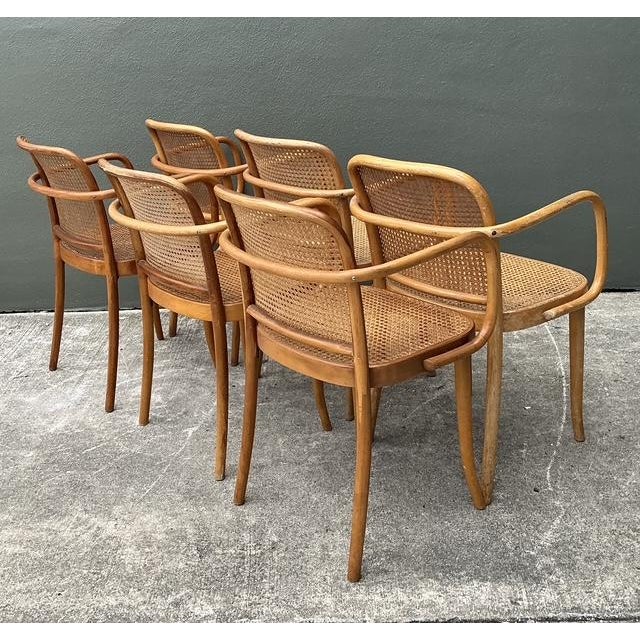 Vintage Stendig Bent Wood Cane Dining Chairs - Set of 6 For Sale - Image 10 of 16