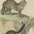 Antique Tiger and Puma Print with Wildcat and Martens, 1890 For Sale - Image 9 of 12