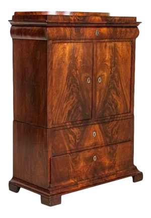 Antique 19th Century Danish 2 Door Flame Mahogany Cabinet